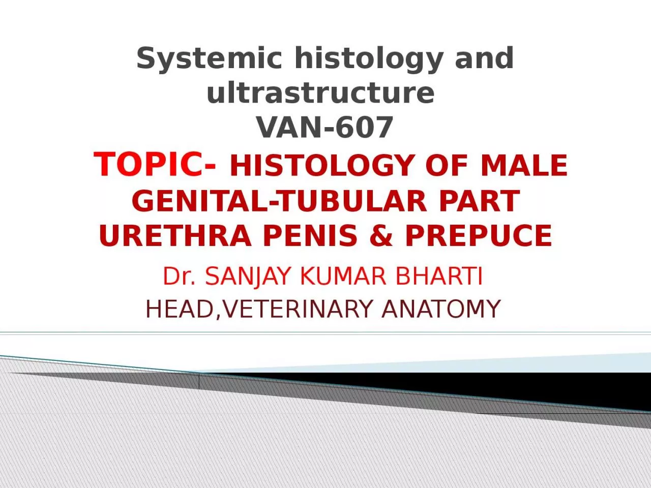 Systemic histology and  ultrastructure