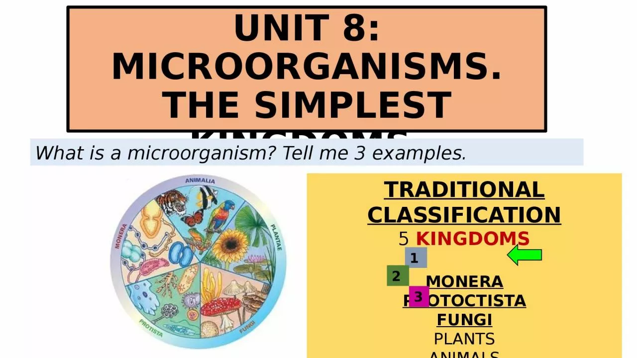 UNIT 8:  MICROORGANISMS. THE SIMPLEST KINGDOMS.