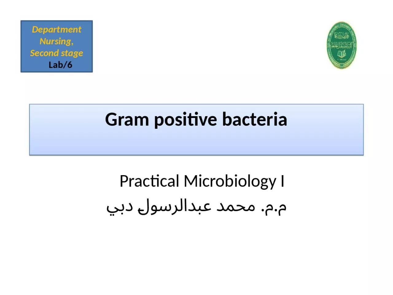 Gram  positive  bacteria