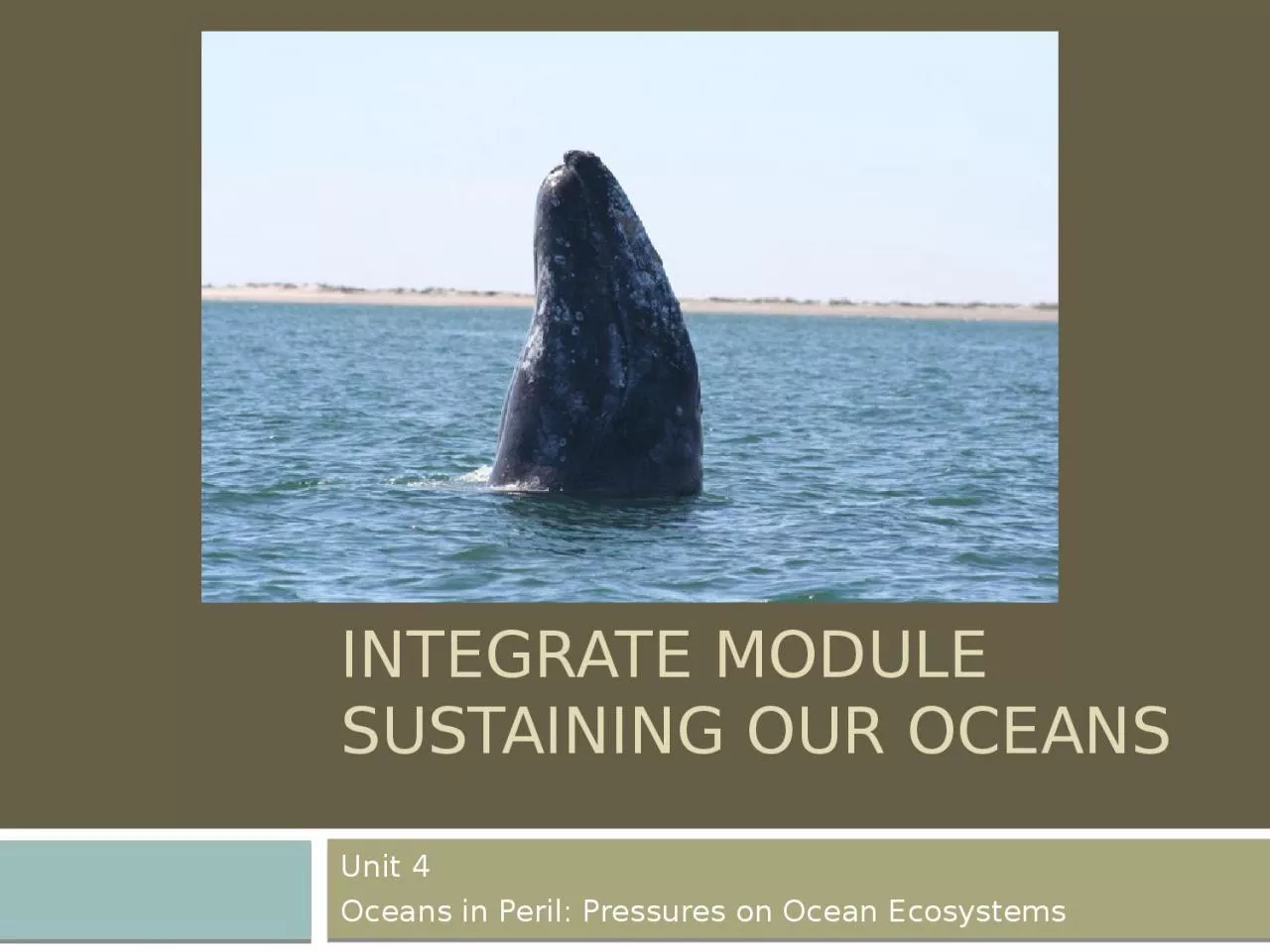 InTeGrate Module  Sustaining Our Oceans