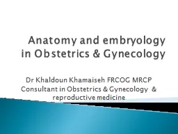 Anatomy and embryology in Obstetrics & Gynecology