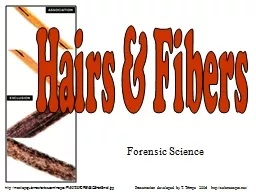 Forensic Science Hairs & Fibers