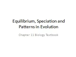 Equilibrium, Speciation and Patterns in Evolution