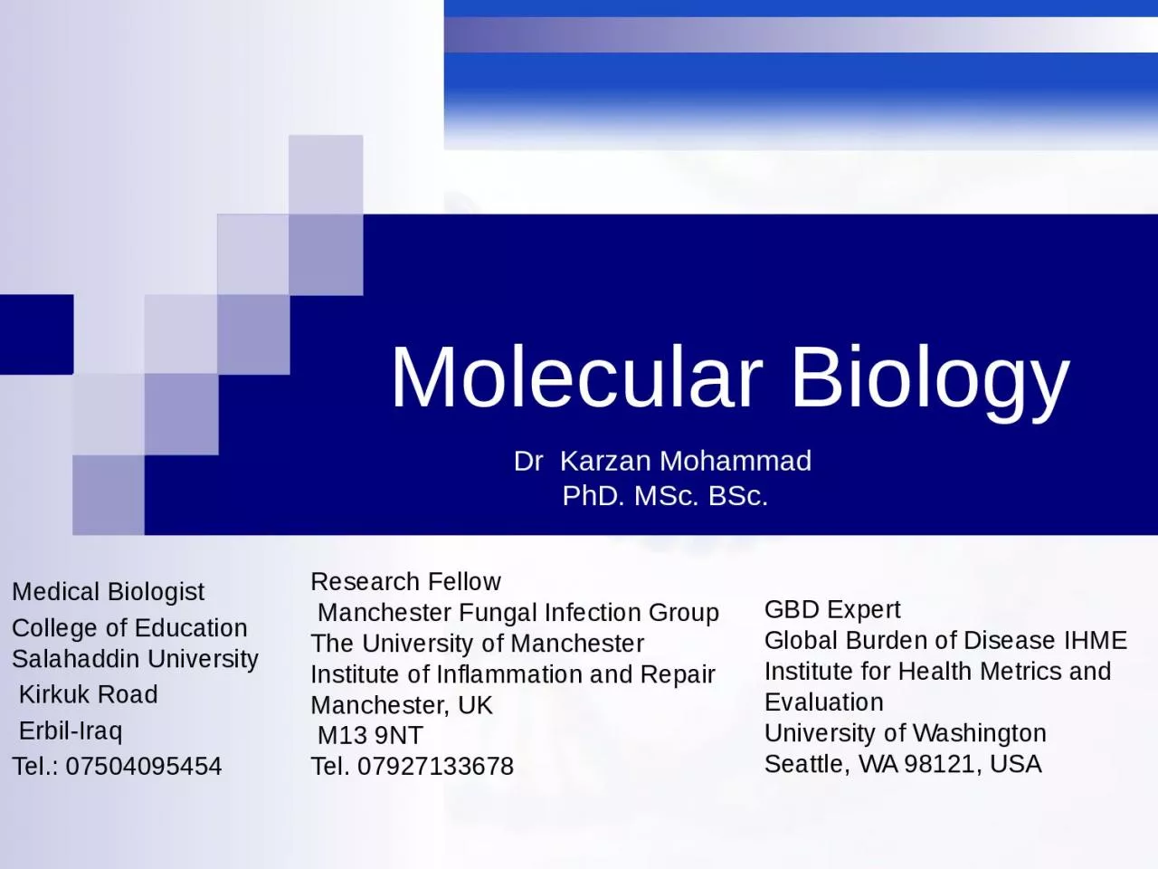 Molecular Biology Medical Biologist