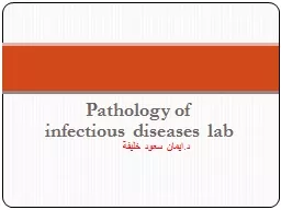 Pathology of infectious diseases lab