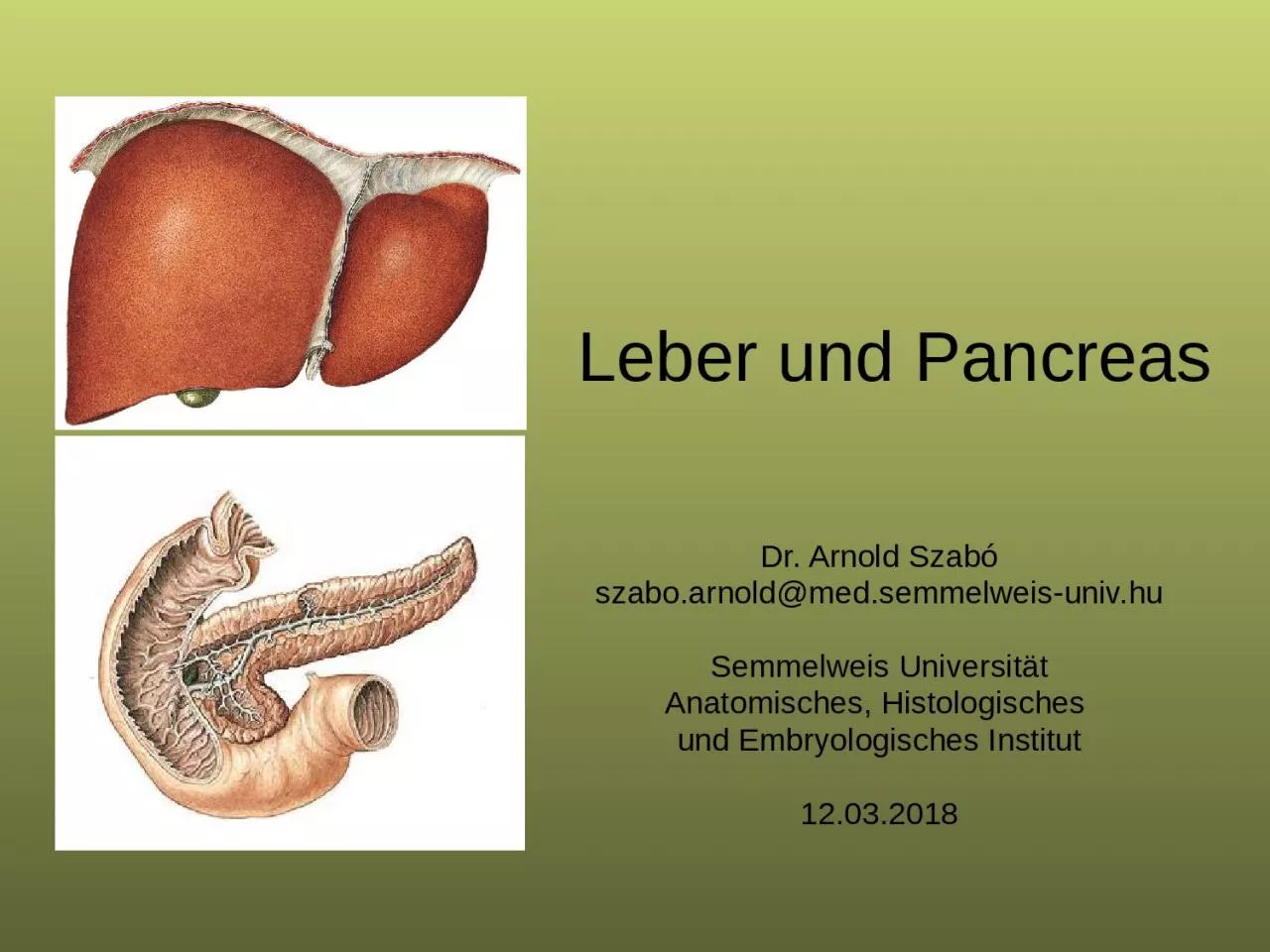 Leber  und  Pancreas Dr. Arnold Szabó
