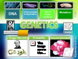 Genetics DNA & RNA Intro to Genetics