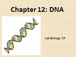 Chapter 12: DNA Lab Biology CP