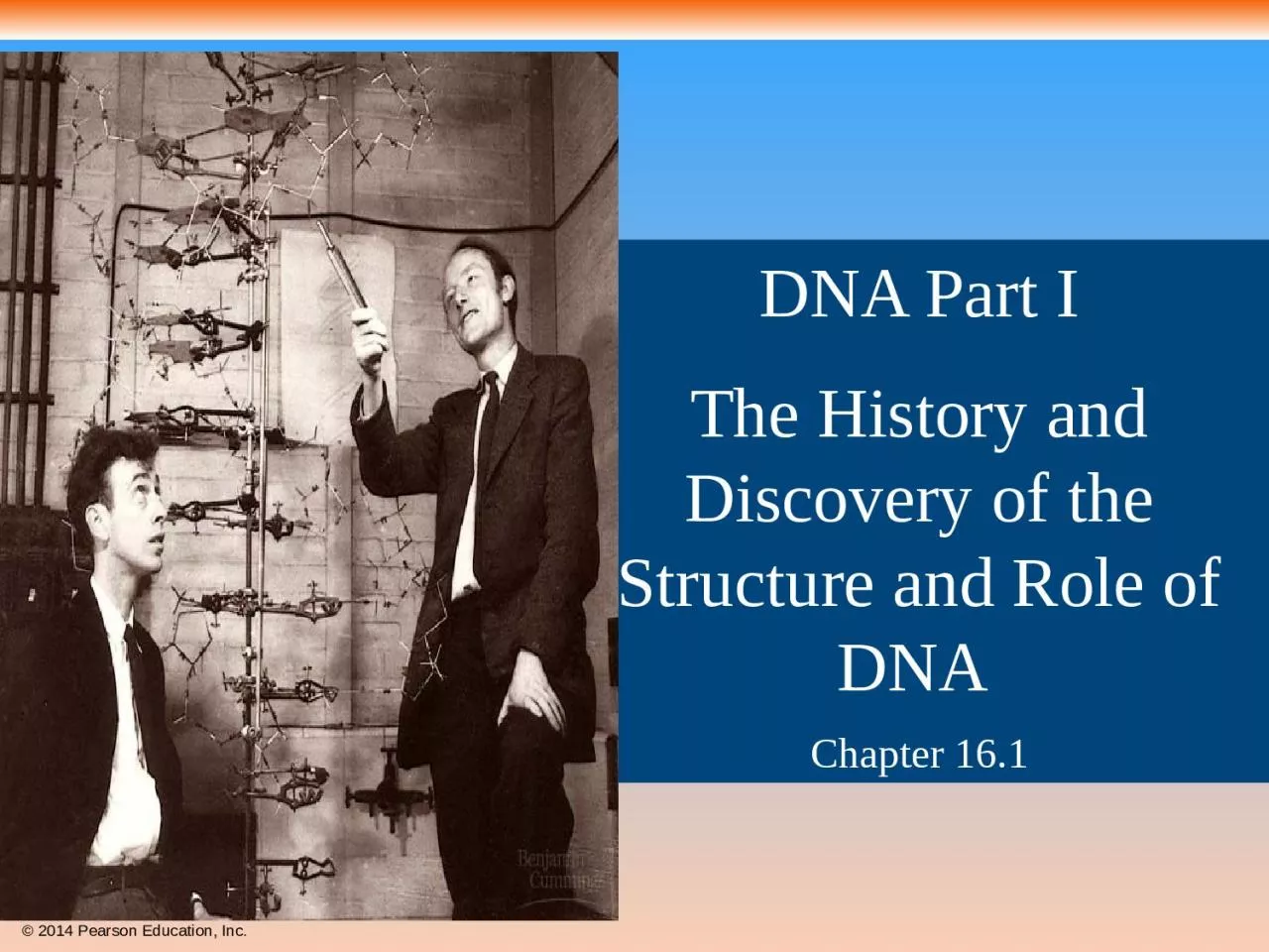 DNA Part I The History and Discovery of the Structure and Role of DNA