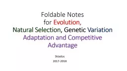 Foldable Notes  for  Evolution,