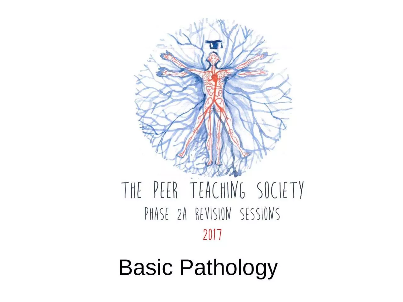 Basic Pathology        Phase 2a Revision Session