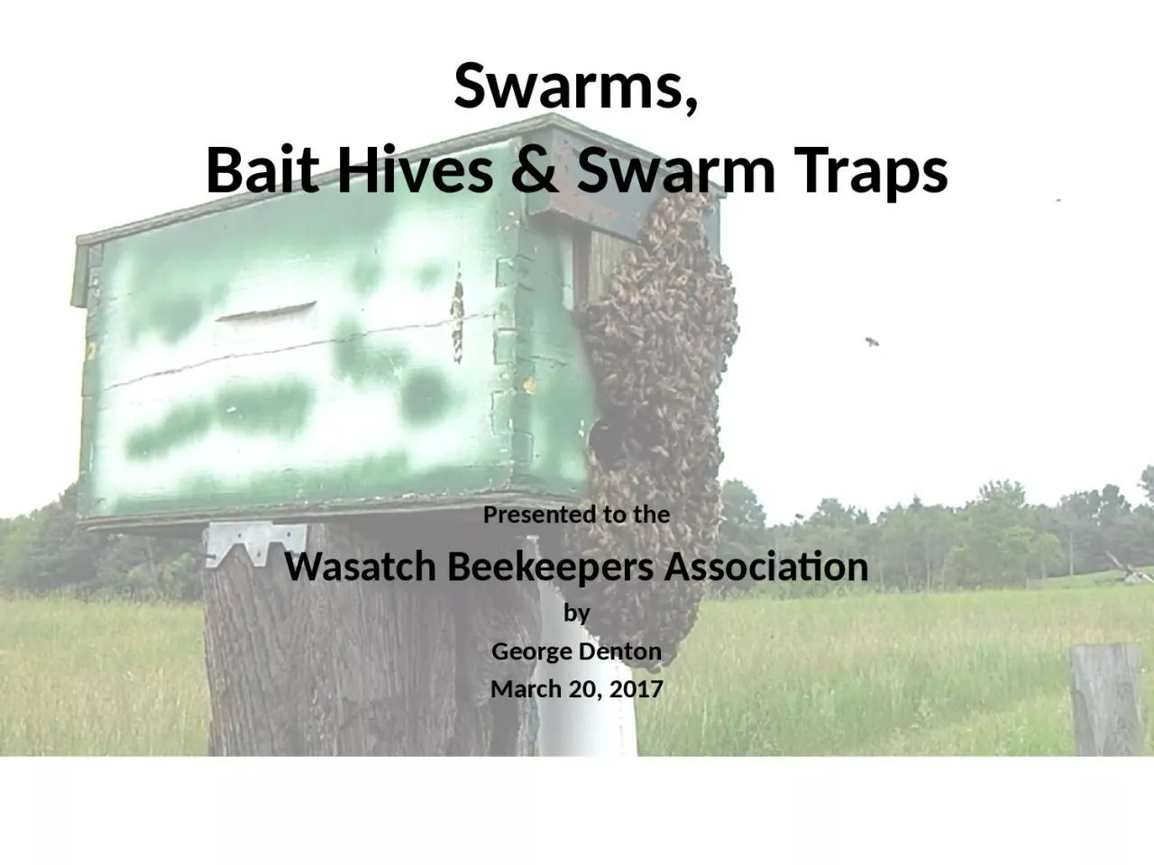 Swarms, Bait Hives & Swarm Traps