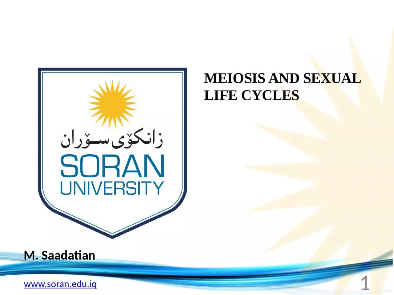 M.  Saadatian MEIOSIS AND SEXUAL LIFE CYCLES