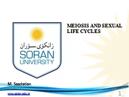 M.  Saadatian MEIOSIS AND SEXUAL LIFE CYCLES
