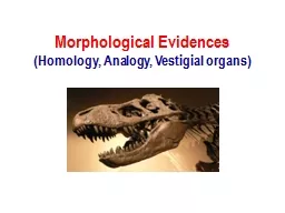 Morphological Evidences (Homology, Analogy, Vestigial organs)