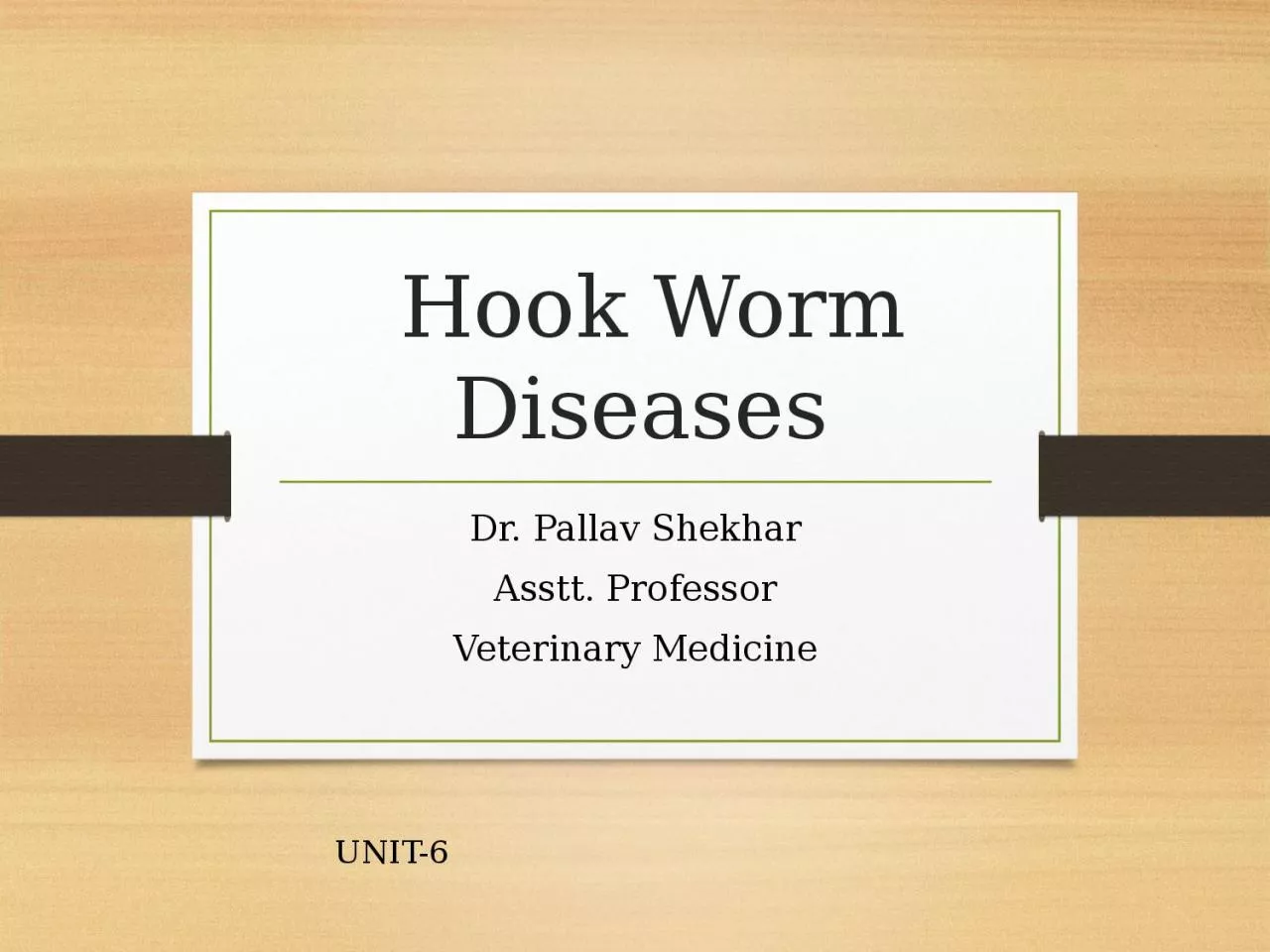 Hook Worm  Diseases Dr.