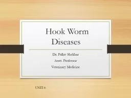 Hook Worm  Diseases Dr.