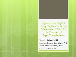 Optimization of  q PCR  Using