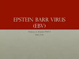 Epstein Barr Virus  (EBV)