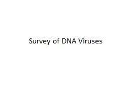 Survey of DNA Viruses Herpesviruses