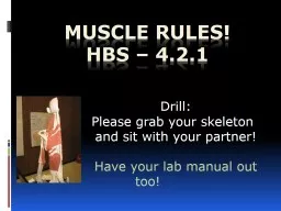Muscle Rules! HBS – 4.2.1