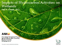 Impacts of Hydrocarbon Activities on Wetlands