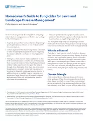 Homeowner’s Guide to Fungicides for Lawn and