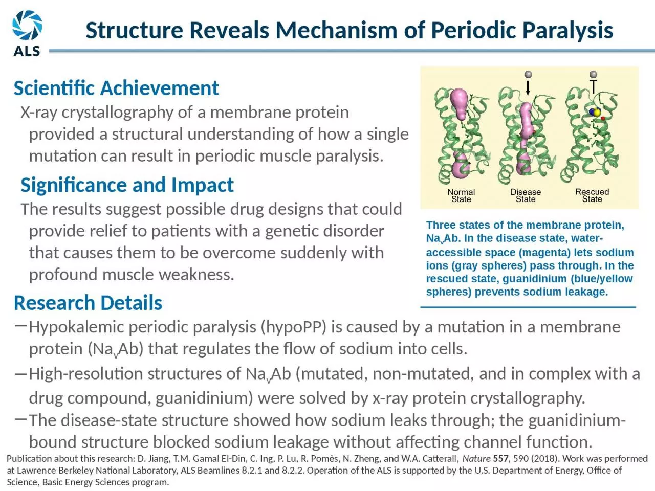 Research Details  Hypokalemic periodic paralysis (hypoPP) is caused by a mutation in a