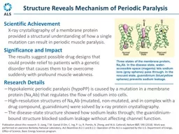 Research Details  Hypokalemic periodic paralysis (hypoPP) is caused by a mutation in a membrane pro