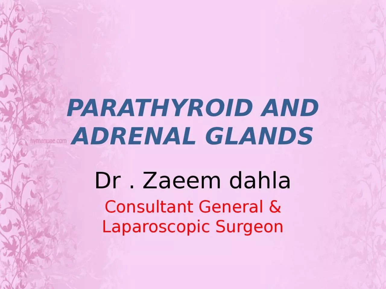 PARATHYROID AND ADRENAL GLANDS