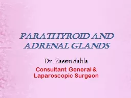 PARATHYROID AND ADRENAL GLANDS