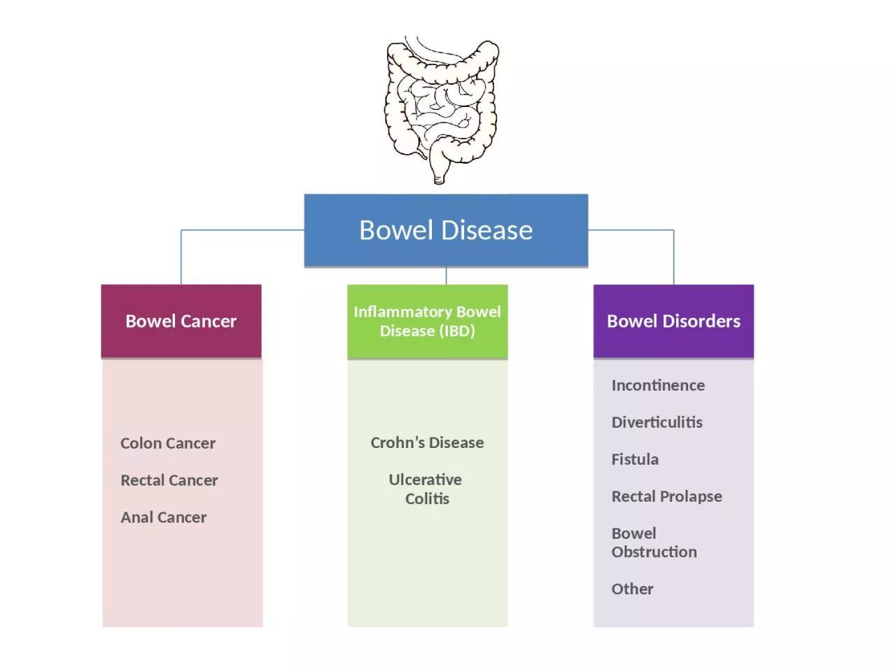 Bowel Disease Bowel Cancer