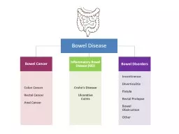 Bowel Disease Bowel Cancer