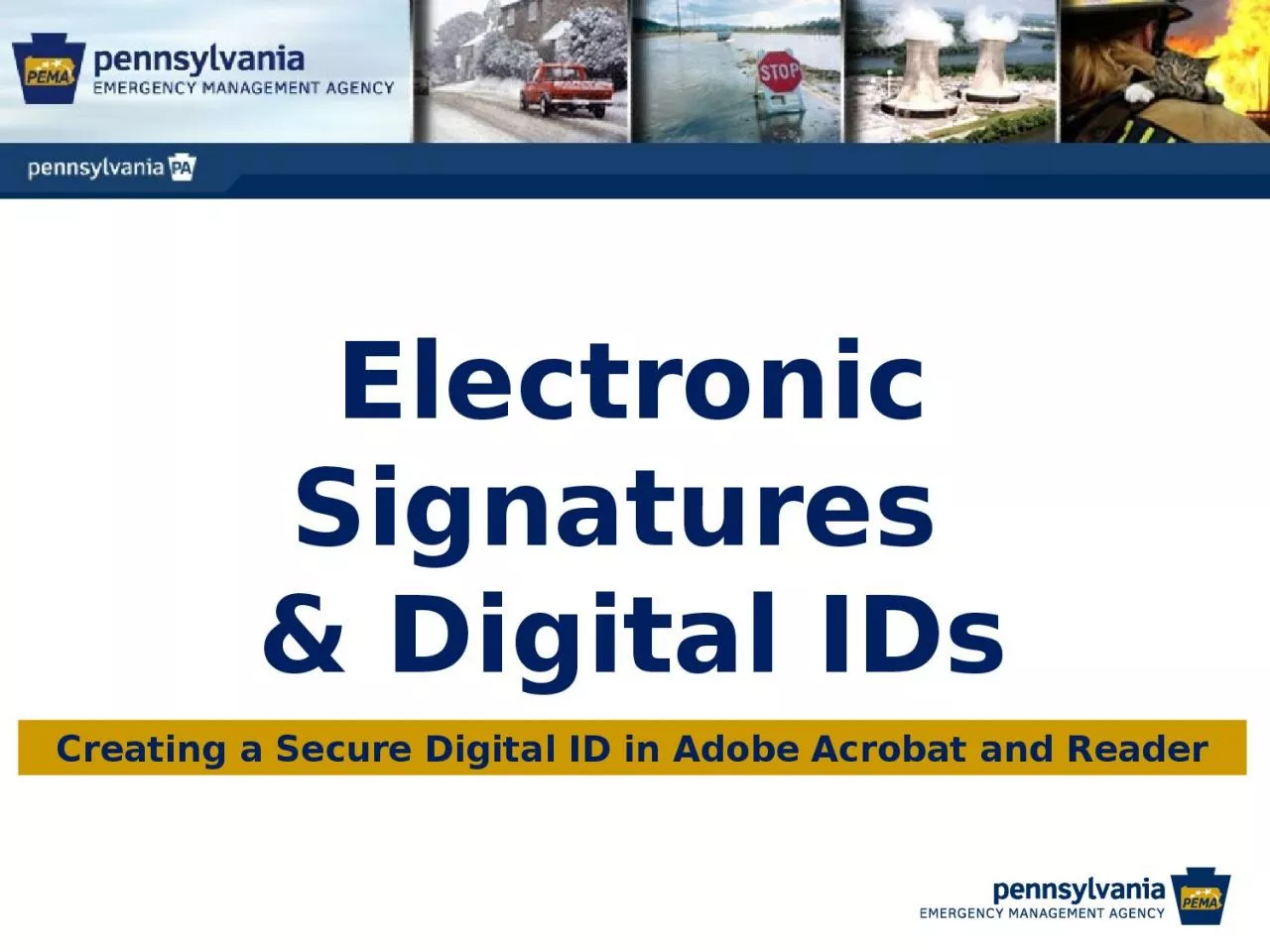 Electronic Signatures  & Digital IDs