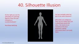 40. Silhouette Illusion www.mastermathmentor.com