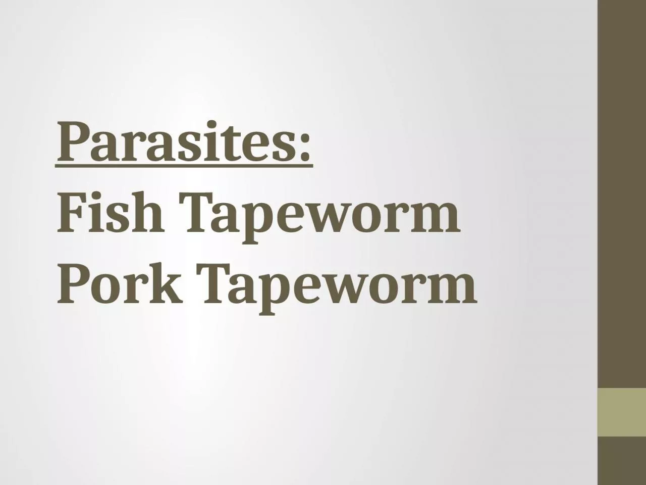Parasites: Fish Tapeworm
