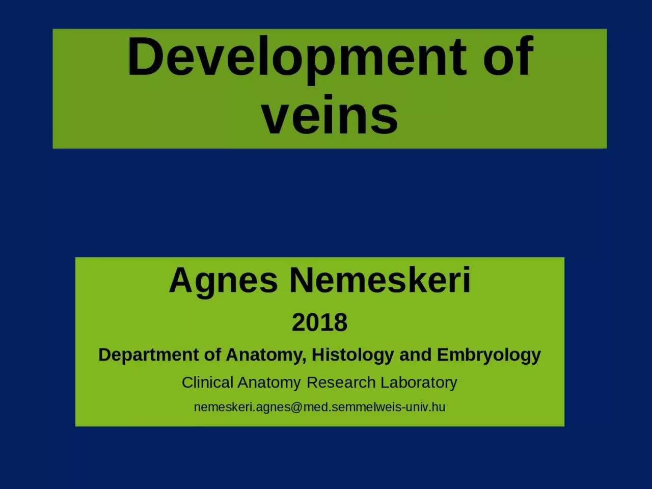 Development  of  veins Agnes