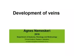 Development  of  veins Agnes