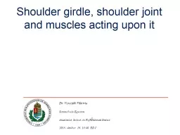 Shoulder   girdle ,  shoulder