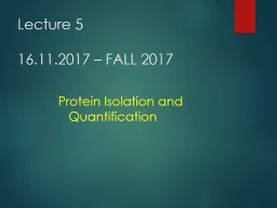 Lecture 5 16.11.2017 – FALL 2017