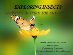 EXPLORING INSECTS LEARNING