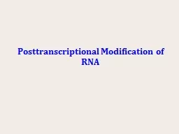 Posttranscriptional Modification of RNA