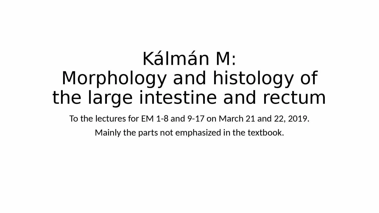 Kálmán M: Morphology  and