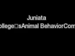 Juniata College’sAnimal BehaviorComic