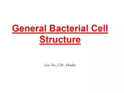 General Bacterial Cell Structure