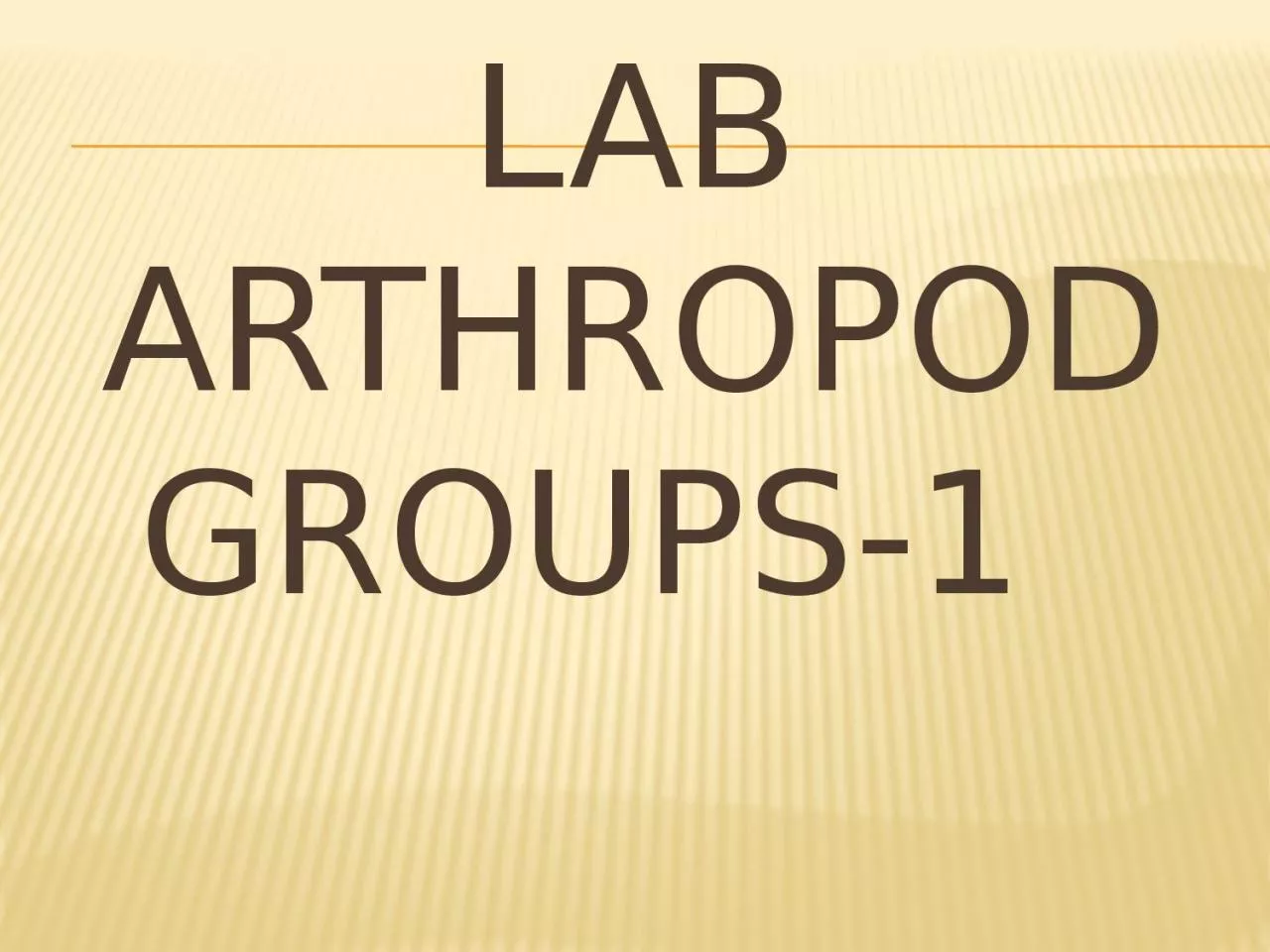 Lab Arthropod  groups-1