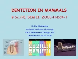DENTITION IN MAMMALS B.Sc. (H), SEM II: ZOOL-H-DC4-T