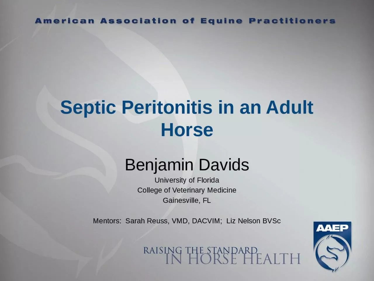 Septic Peritonitis in an Adult Horse