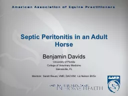 Septic Peritonitis in an Adult Horse