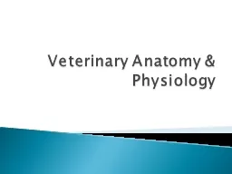 Veterinary Anatomy & Physiology